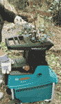 shredder Summer jobs   Shredding garden offcuts
