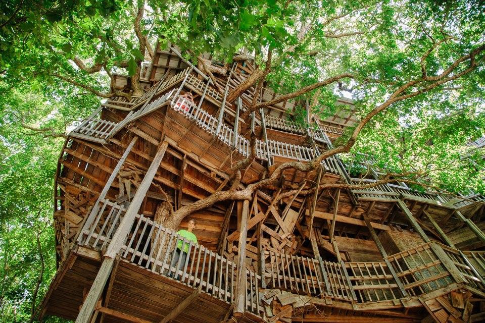 a huge treehouse | The DIY Doctor's Blog