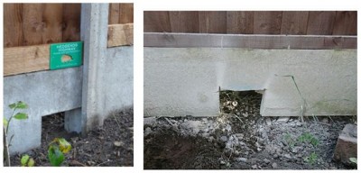 Picture of what I have seen on the internet regarding hedgehog holes in concrete gravel board - one professionally done, the other DIY with angle grinder