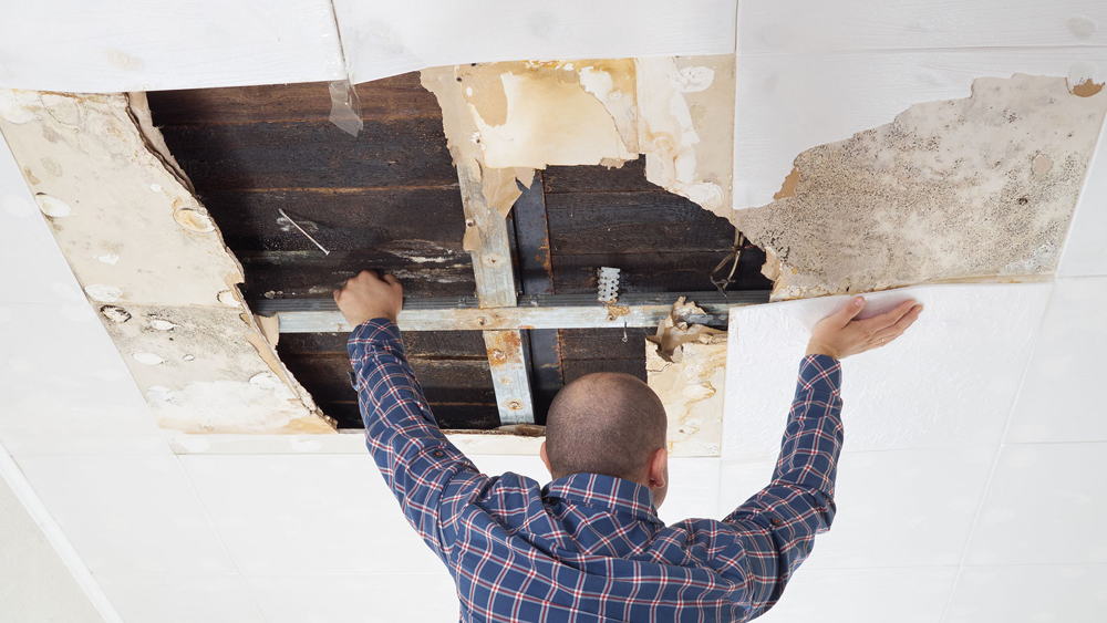 Leaking Roof | Fixing a Damaged Roof | Roof Parts 