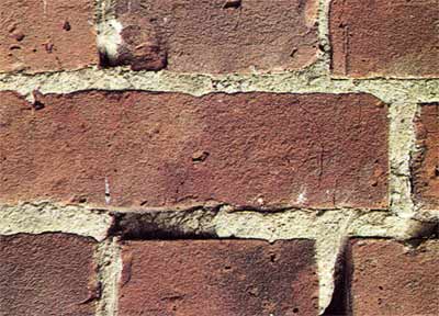 Pointing Brickwork | How to Point Brickwork and Renewing Mortar Joints