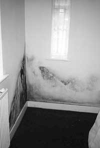 Black Mould caused by condensation