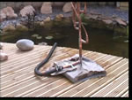 Water Feature