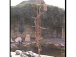 Water Feature