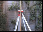 Site Level