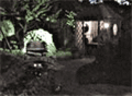 Lights in garden