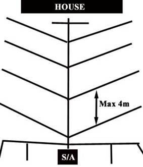 Herring bone diagram