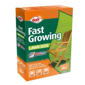 Fast Growing Lawn Seed 500g