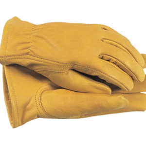 TGL105M Premium Leather Gloves Ladies' - Medium