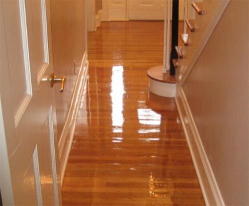 16 Top Tips and Tricks on how to use Varnish Correctly to get a Great
