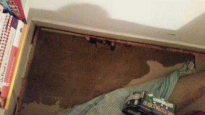 Damp underlay/carpet