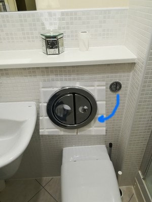 dual flush button