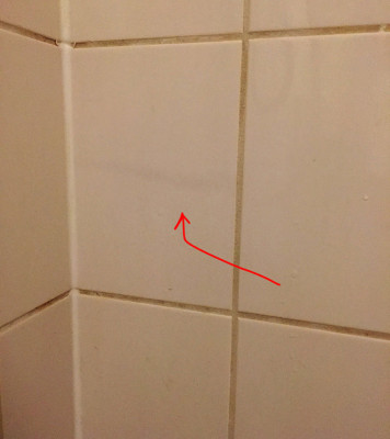shower-wall-2.JPG