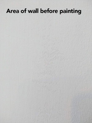 Area of old paint job on wall before painting