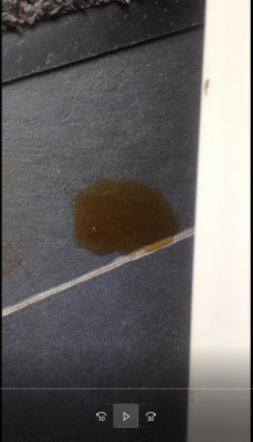 clip from door leak bottom brown water vid.jpg