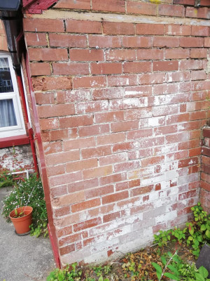 exterior outside wall of loo.jpg