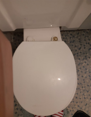 Toilet seat pic 3.jpg