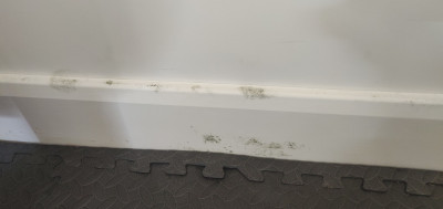 I have foam flooring covering a few sqm but this doesn't seem to have any impact as the damp/mould is only by the skirting and not in the middle of the room and I even have the mould where there is no foam flooring over the laminate