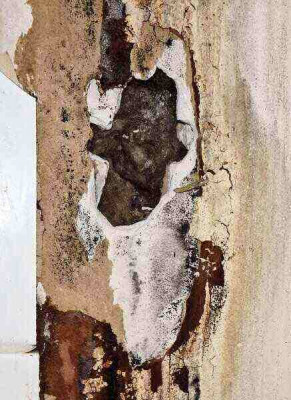 Rotten hole in wall 2