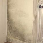 How to Fix Rising Damp Issues