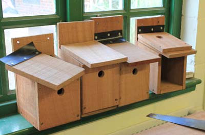 A row of bird boxes in various stages of construction