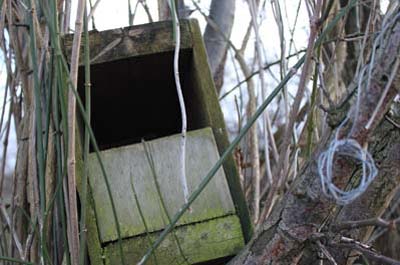 Weathered bird box