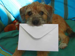 Dog carrying envelope