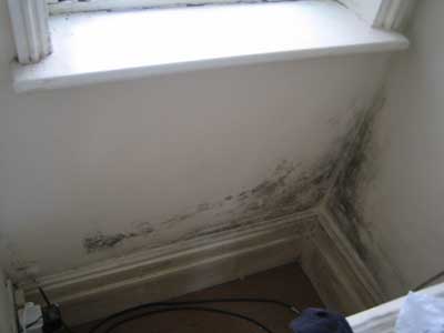 damp in bedroom (with pictures) | diy doctor uk diy forums