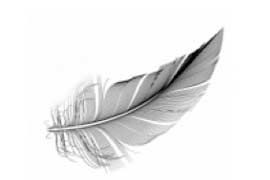 Feather to show how feathering out works