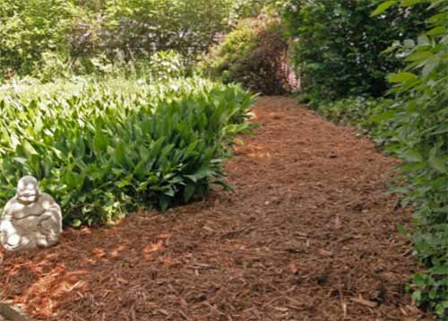 Mulched garden path