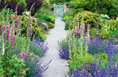 Concrete garden path in a cottage garden