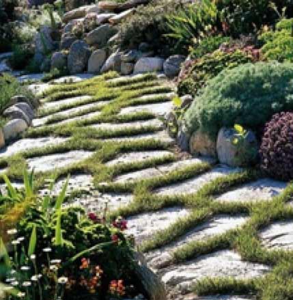 Planted Path using natural paving slabs