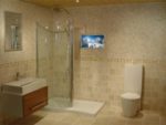 Bathroom TV