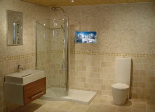 Bathroom TV