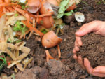 Building a Compost Container