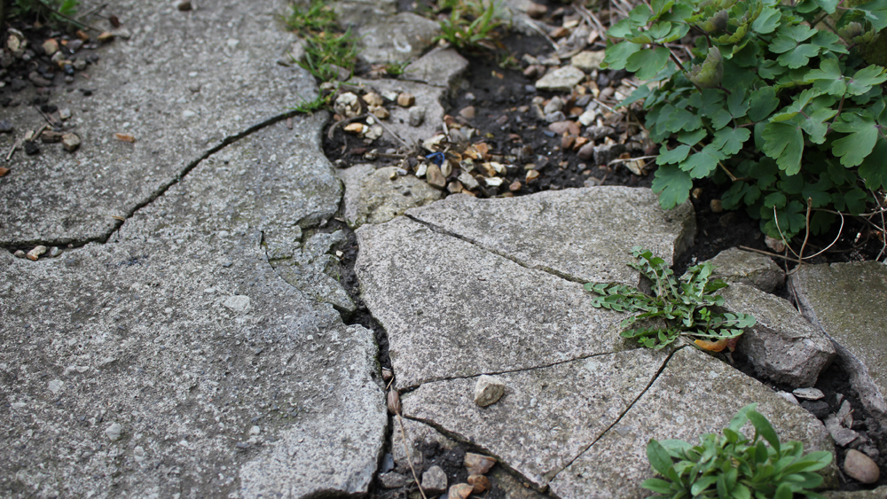 How To Repair Cracked Concrete Paths Including Brick And Block