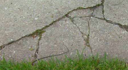 Cracks and damage to concrete path