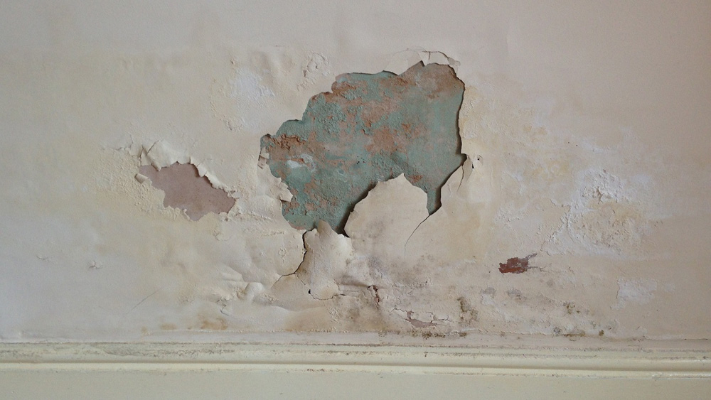 damp patches | how to stop damp patches on internal walls