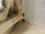 Diagnosing Damp