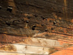 Dry Rot and Wet Rot Pictures to Help With Detection