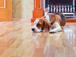 Laying Laminate Flooring