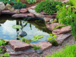 How to Build a Garden Pond and Some Great Garden Pond Ideas