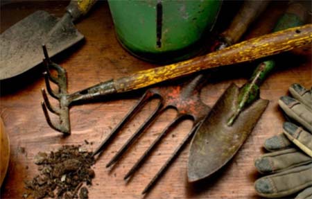 Selection of gardening tools