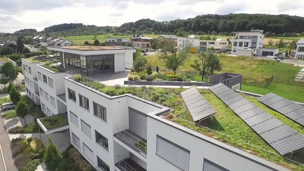 How to Build a Green Roof or Roof Garden