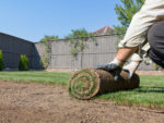 Laying Turf