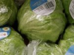Growing lettuces