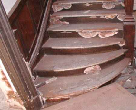 Mould growth on stairs