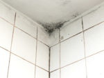 Removing Black Mould from a Bathroom Ceilings