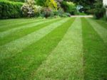Perfectly cut lawn with stripes