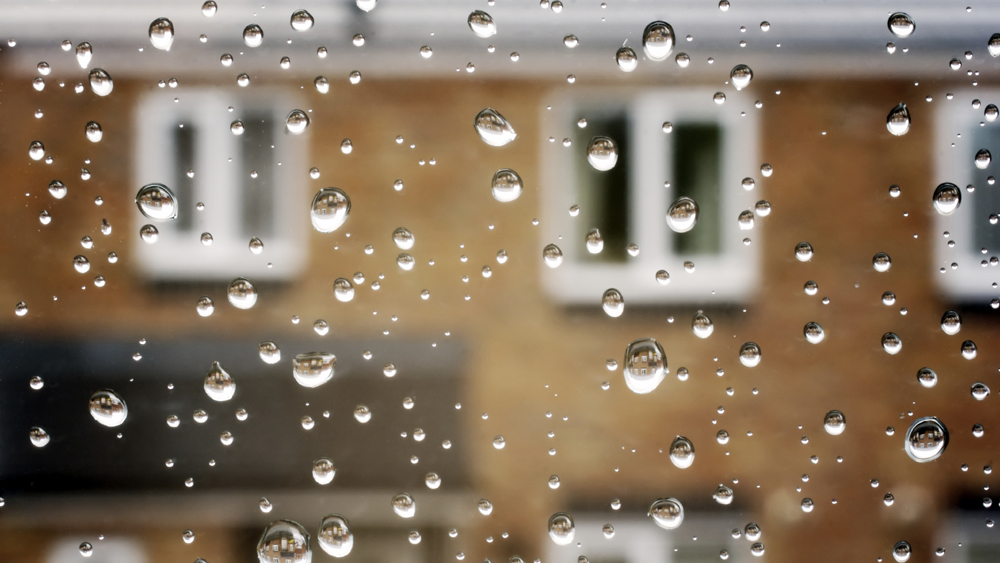 Rainwater Harvesting Systems: A Full Guide